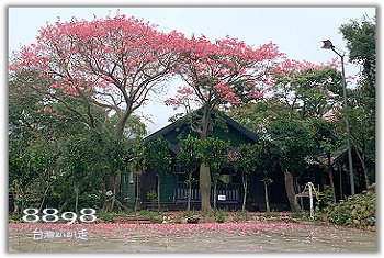 苗栗民宿‧興民(建民)休閒農場