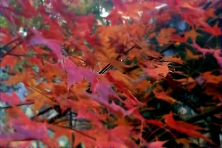 雪霸民宿．森悅雲海民宿