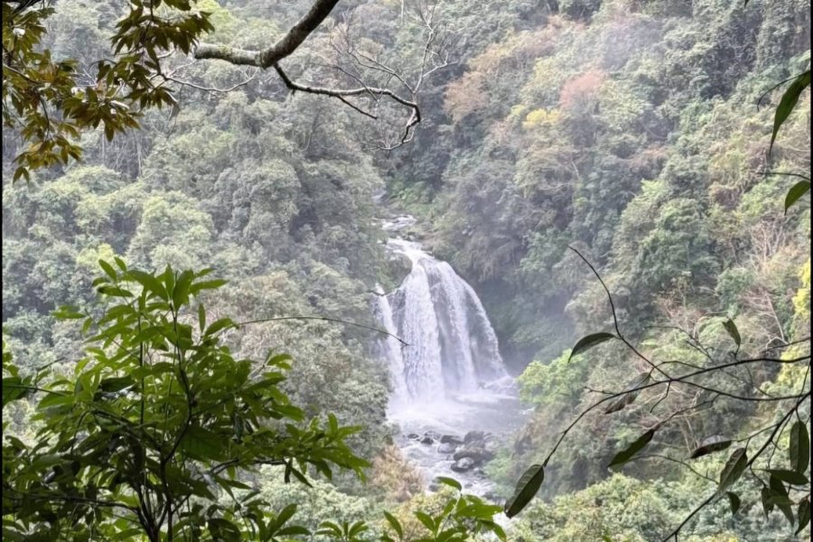 雪霸民宿．森悅雲海民宿