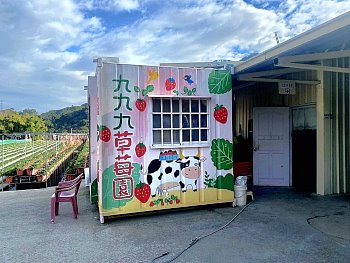 大湖採草莓‧九九九草莓園