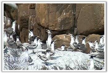 馬祖民宿網-馬祖民宿藍眼淚